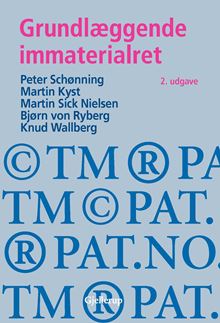 Grundlæggende immaterialret