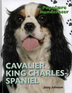 Cavalier king charles-spaniel