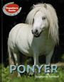 Ponyer