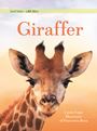 Giraffer