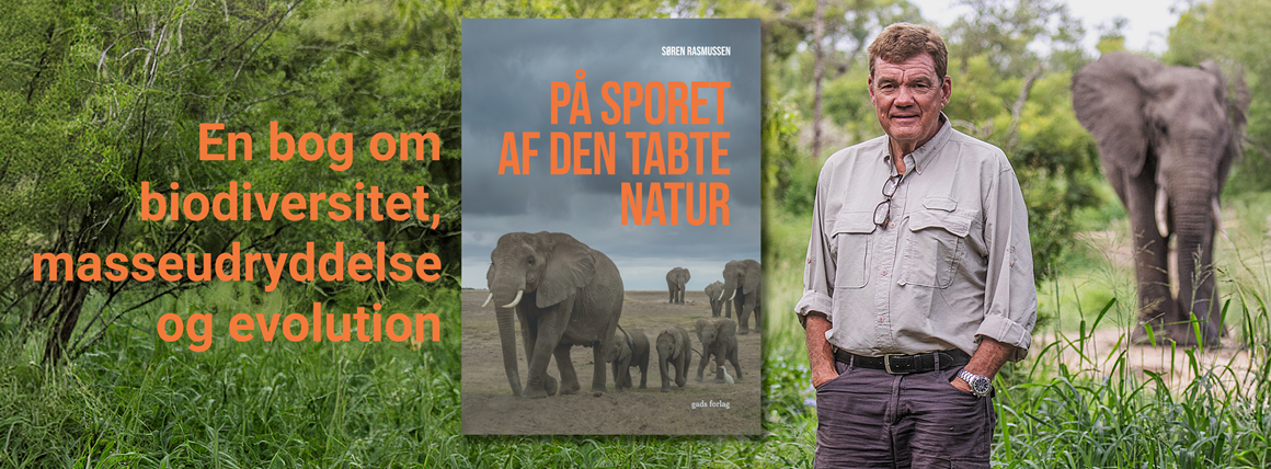 På sporet af den tabte natur