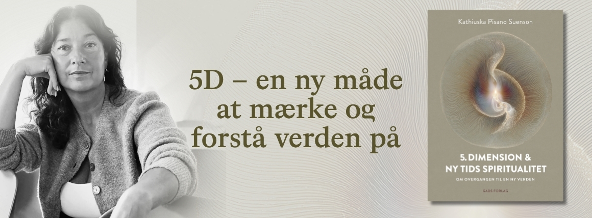 5. dimension