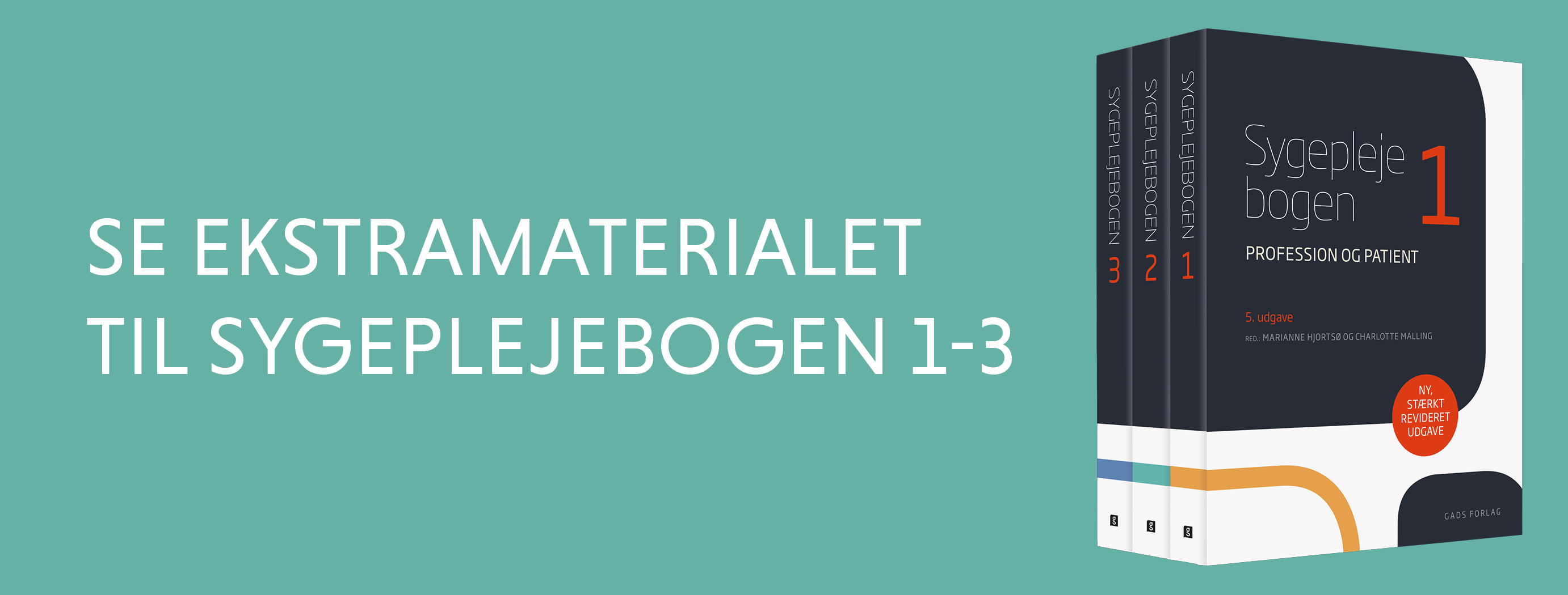 Sygeplejebogen