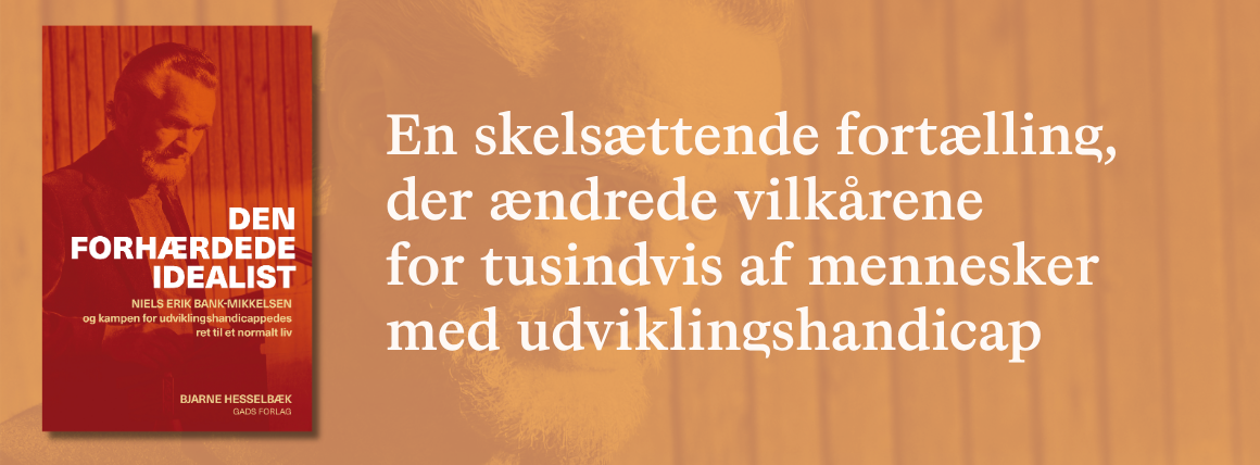 Den forhærdede idealist