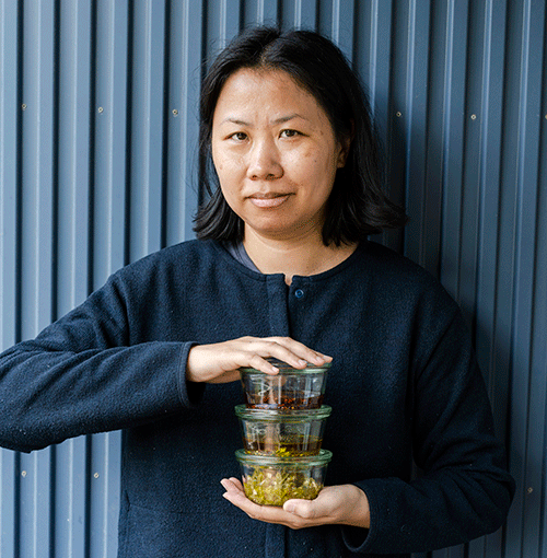 Xinxin Ren Gudbjörnsson